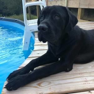 Meet your Posher, Deena